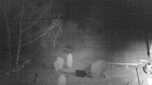 Horský hotel Čarták na Soláni - Ski Čarták Soláň - 19.3.2025 v 21:00 Horský hotel Čarták na Soláni - Ski Čarták Soláň - 19.3.2025 v 21:00