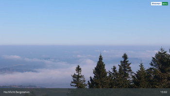 Snímek 7.11.2025 v 13:15