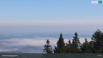 Snímek 8.11.2025 v 12:00