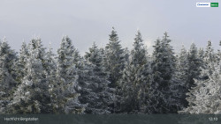 Smrčina / Hochficht