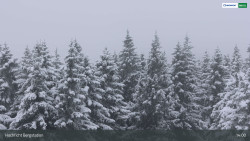 Smrčina / Hochficht