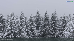 Smrčina / Hochficht