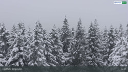 Smrčina / Hochficht