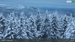 Smrčina / Hochficht