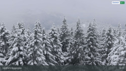 Smrčina / Hochficht