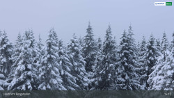 Smrčina / Hochficht