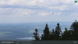 Spruce / Hochficht