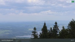 Spruce / Hochficht