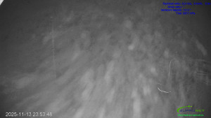 Lyžařský areál Mikulčin vrch - Sjezdovka Lopata - 14.11.2025 v 00:01 Lyžařský areál Mikulčin vrch - Sjezdovka Lopata - 14.11.2025 v 00:01