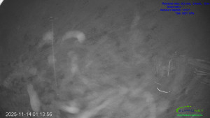 Lyžařský areál Mikulčin vrch - Sjezdovka Lopata - 14.11.2025 v 01:15 Lyžařský areál Mikulčin vrch - Sjezdovka Lopata - 14.11.2025 v 01:15