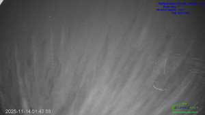 Lyžařský areál Mikulčin vrch - Sjezdovka Lopata - 14.11.2025 v 01:45 Lyžařský areál Mikulčin vrch - Sjezdovka Lopata - 14.11.2025 v 01:45