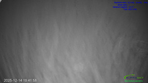 Lyžařský areál Mikulčin vrch - Sjezdovka Lopata - 14.12.2025 v 19:45 Lyžařský areál Mikulčin vrch - Sjezdovka Lopata - 14.12.2025 v 19:45