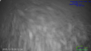 Lyžařský areál Mikulčin vrch - Sjezdovka Lopata - 15.12.2025 v 00:15 Lyžařský areál Mikulčin vrch - Sjezdovka Lopata - 15.12.2025 v 00:15