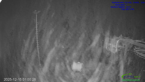 Lyžařský areál Mikulčin vrch - Sjezdovka Lopata - 15.12.2025 v 01:02 Lyžařský areál Mikulčin vrch - Sjezdovka Lopata - 15.12.2025 v 01:02