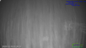 Lyžařský areál Mikulčin vrch - Sjezdovka Lopata - 15.12.2025 v 01:32 Lyžařský areál Mikulčin vrch - Sjezdovka Lopata - 15.12.2025 v 01:32