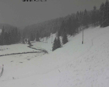 Snímek    27.10.2025 v 13:00