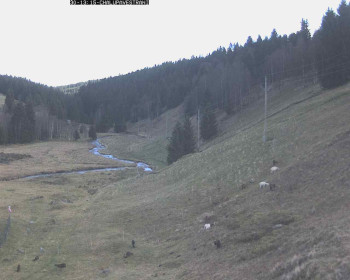 Snímek    30.10.2025 v 13:45