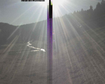 Snímek    1.11.2025 v 08:30