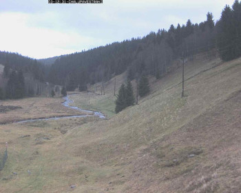 Snímek    3.11.2025 v 13:00