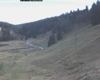 Snímek    4.11.2025 v 13:45