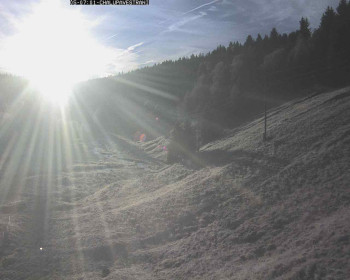 Snímek 5.11.2025 v 07:30