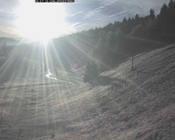 Snímek 5.11.2025 v 07:45