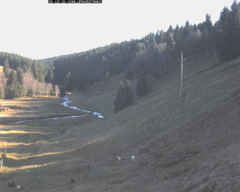 Snímek 5.11.2025 v 13:00