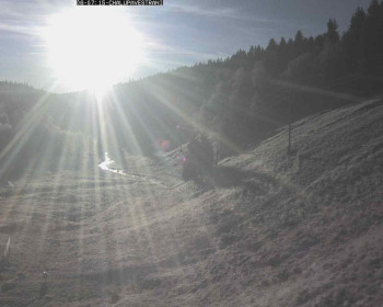 Snímek 6.11.2025 v 07:45