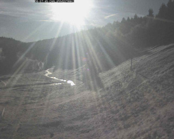 Snímek 6.11.2025 v 08:15