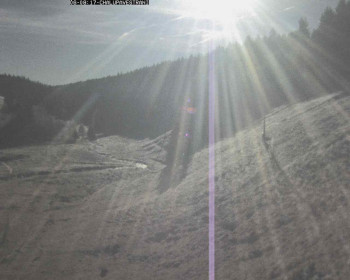 Snímek 6.11.2025 v 08:45