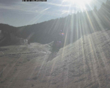 Snímek 6.11.2025 v 09:00