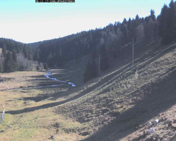 Snímek 6.11.2025 v 11:45