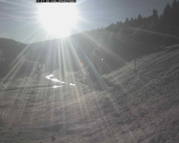 Snímek 7.11.2025 v 08:00