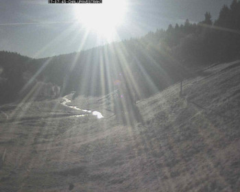 Snímek 7.11.2025 v 08:15