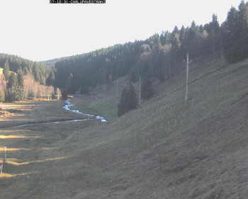 Snímek 7.11.2025 v 13:00