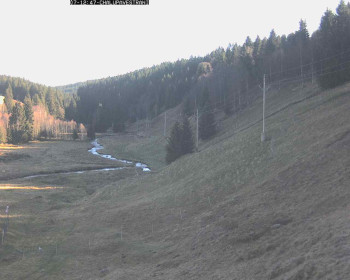 Snímek 7.11.2025 v 13:15