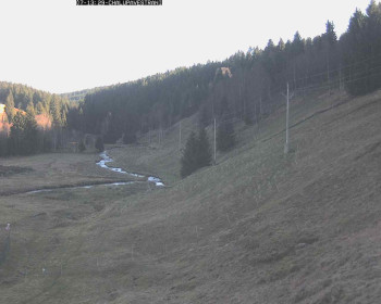 Snímek 7.11.2025 v 14:00