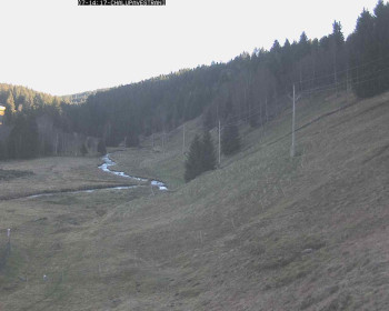 Snímek 7.11.2025 v 14:45