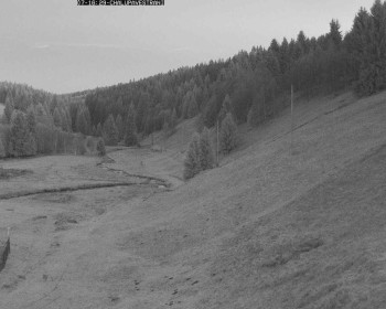 Snímek 7.11.2025 v 17:00