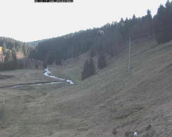 Snímek 8.11.2025 v 13:45