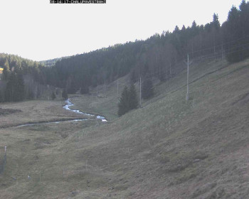 Snímek 8.11.2025 v 14:45