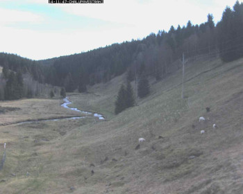 Snímek 14.11.2025 v 12:15