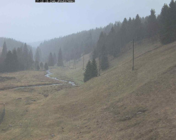 Snímek 17.11.2025 v 12:45