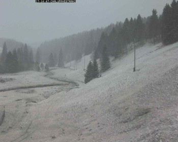 Snímek 17.11.2025 v 15:15