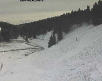 Snímek 19.11.2025 v 13:45