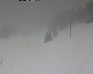 Obec Kvilda - Chalupa Ve Stráni - 2.1.2026 v 09:30 Obec Kvilda - Chalupa Ve Stráni - 2.1.2026 v 09:30