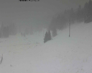 Obec Kvilda - Chalupa Ve Stráni - 2.1.2026 v 10:30 Obec Kvilda - Chalupa Ve Stráni - 2.1.2026 v 10:30