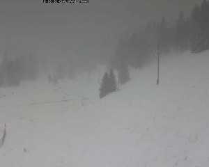 Obec Kvilda - Chalupa Ve Stráni - 2.1.2026 v 11:00 Obec Kvilda - Chalupa Ve Stráni - 2.1.2026 v 11:00