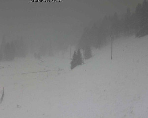 Obec Kvilda - Chalupa Ve Stráni - 2.1.2026 v 11:15 Obec Kvilda - Chalupa Ve Stráni - 2.1.2026 v 11:15