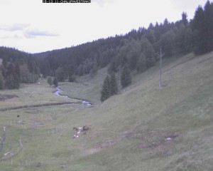 Gemeinde Kvilda - Chalupa ve stráni - 16.6.2026 v 14:45 Gemeinde Kvilda - Chalupa ve stráni - 16.6.2026 v 14:45